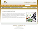 CED Accountancy Website